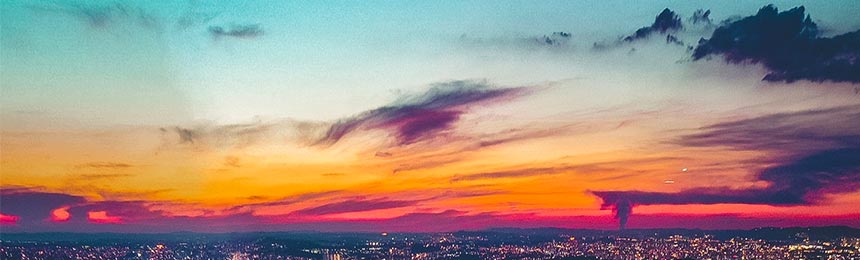 广东茶虫网_广东品茶